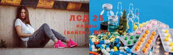 индика Алексин
