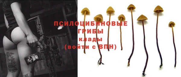 мяу мяу мука Алексеевка