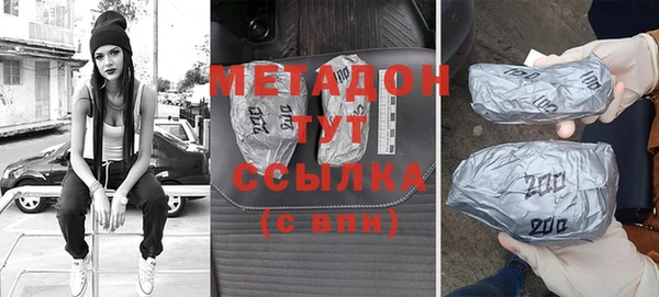 индика Алексин