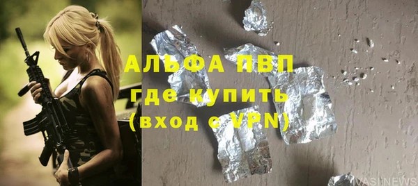 индика Алексин