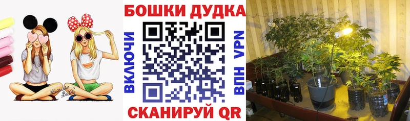 Купить закладки  Фёдоровский  Бошки Шишки тримм 